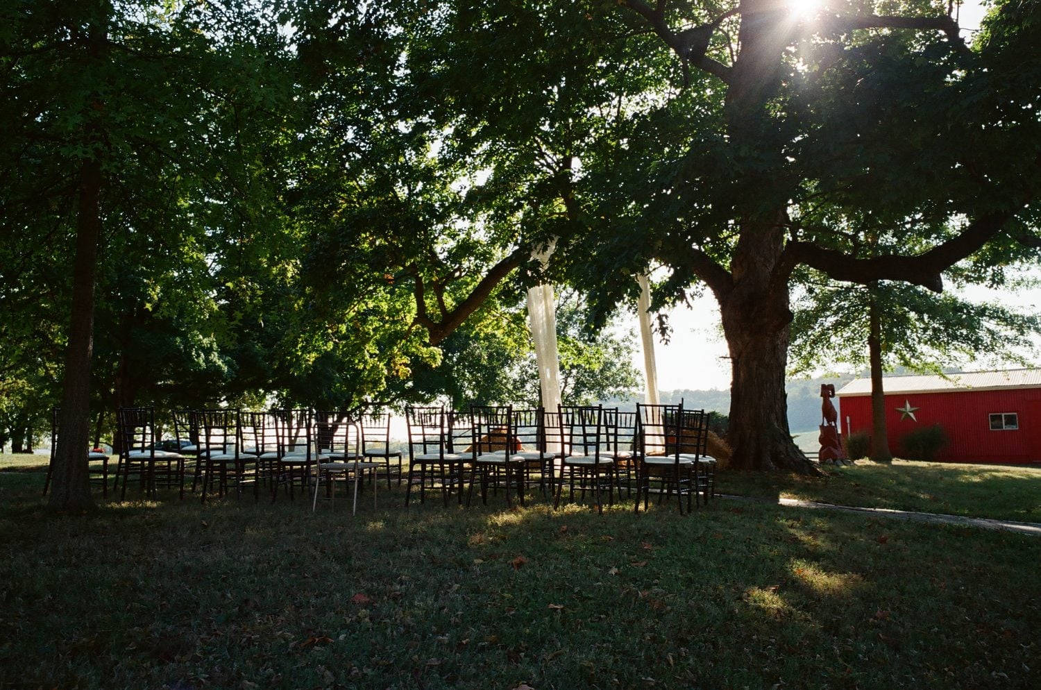Film photograph of empty ceremony chairs set outdoors