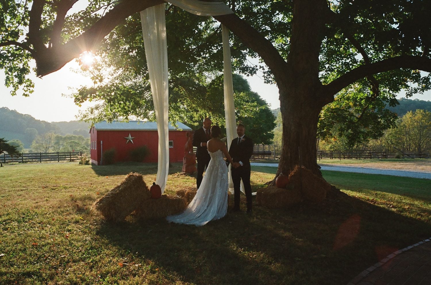 Film photograph of an outdoor ceremony beneath a large tree