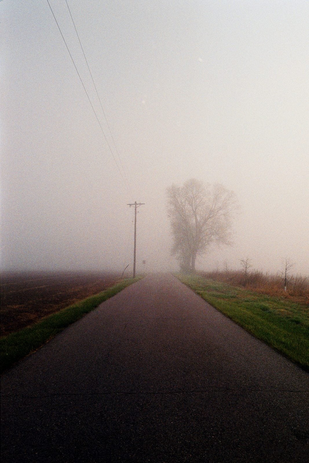 A two lane country road disappearing into thick fog, a lone power pole and a bare tree fading at the vanishing point.