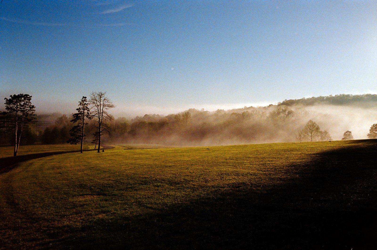 Golden morning light across a green Missouri hillside as a low band of fog lifts off the tree line.