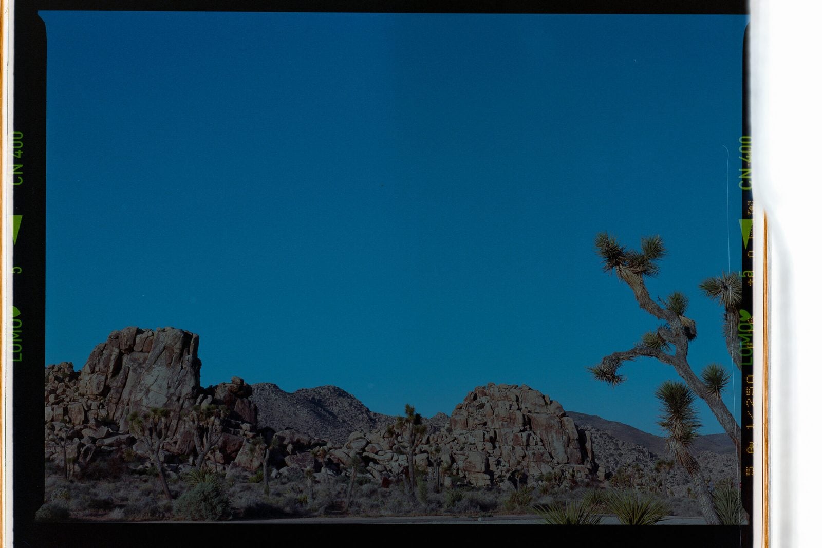 A wide desert landscape of granite boulder formations and Joshua trees under a clear evening sky, shown with the film frame border intact.