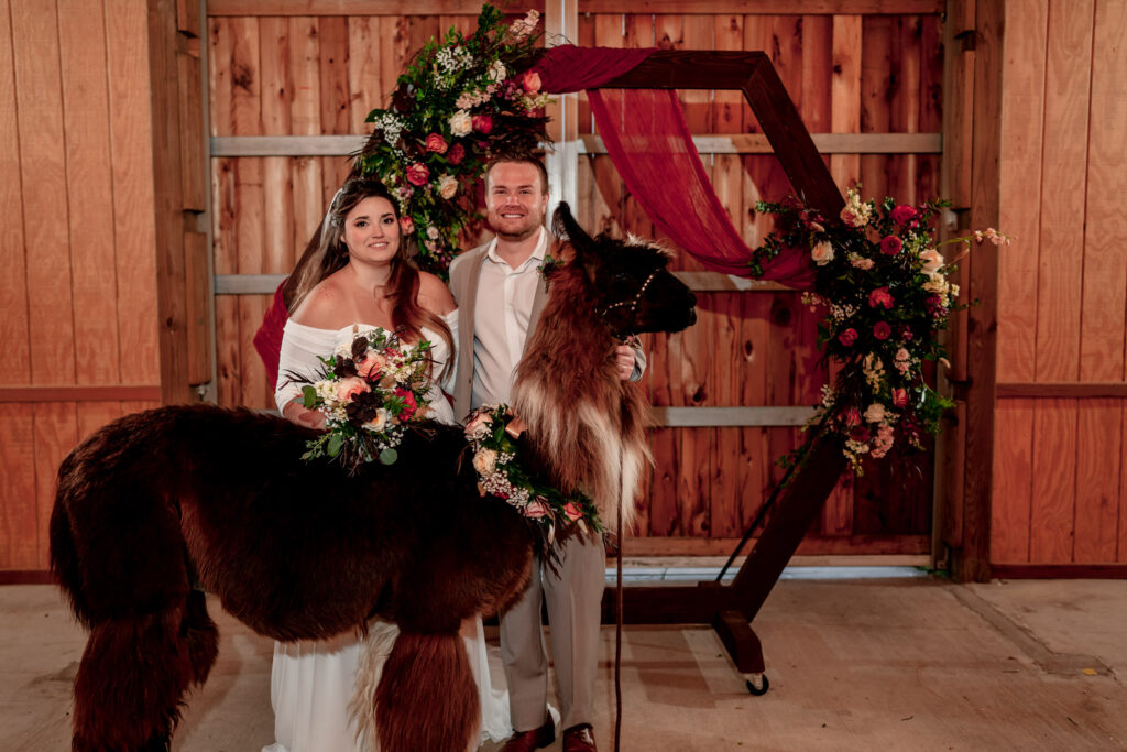 couples wedding portraits with llama at Maison Du Lac